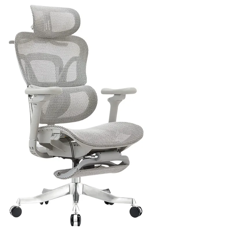 Home Office Ergonomics - Sedia da Ufficio Ergonomica per Lavoro