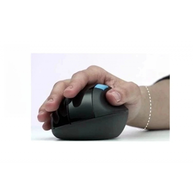 Mouse wireless Microsoft ergon - Home Office Of Microsoft recensione e prezzo