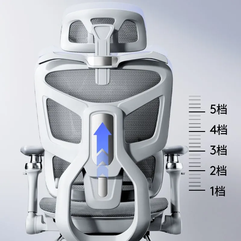 Sedia Ergonomica da Ufficio co - Home Office Ergonomics recensione e prezzo
