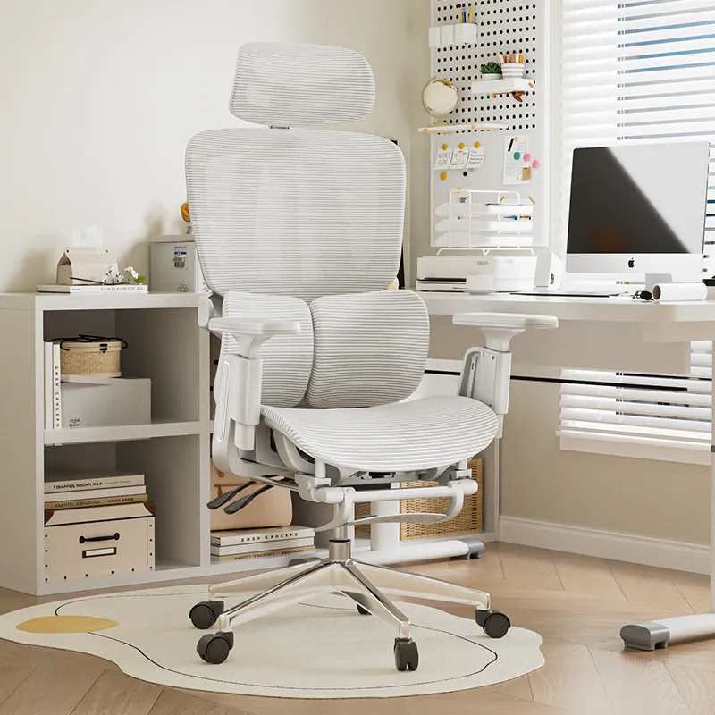 Sedia da Ufficio Ergonomica co - Home Office Ergonomics recensione e prezzo