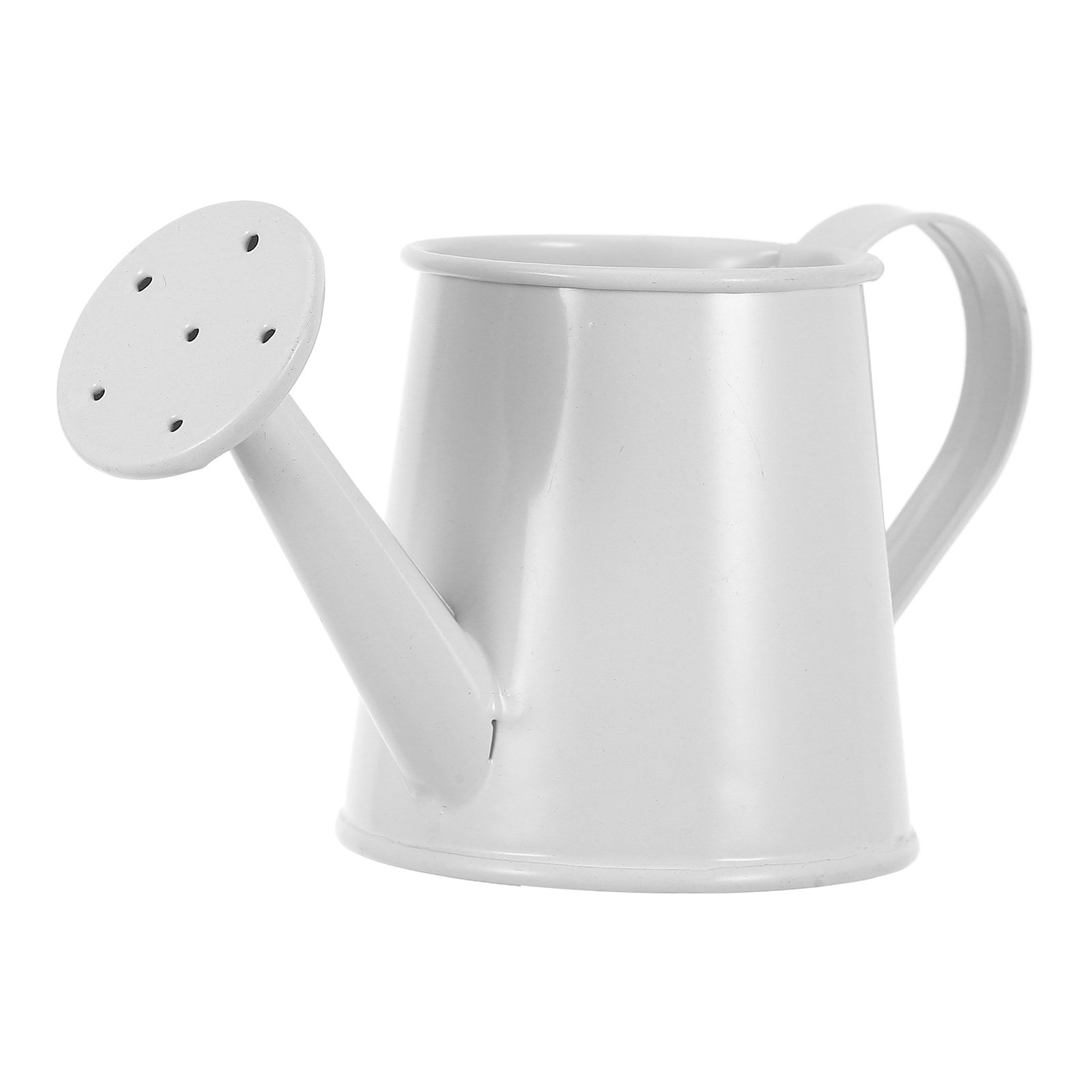 Mini annaffiatoio in ferro per - Home Office Bookshelves recensione e prezzo